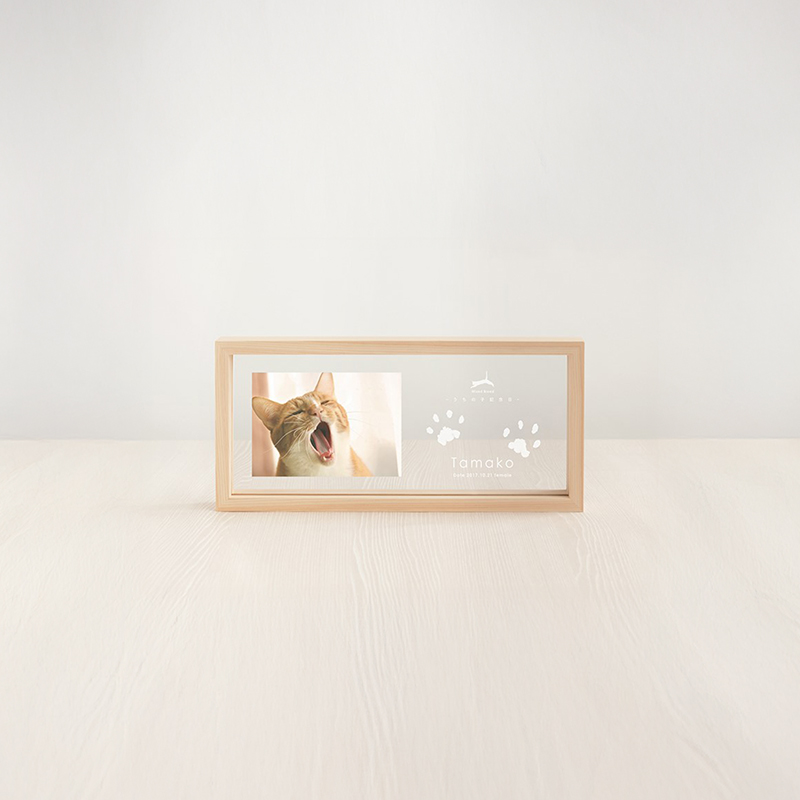 ãã¡ã®åèšå¿µæ¥ ãŠãããã©ããã¬ãŒã /P-UW10