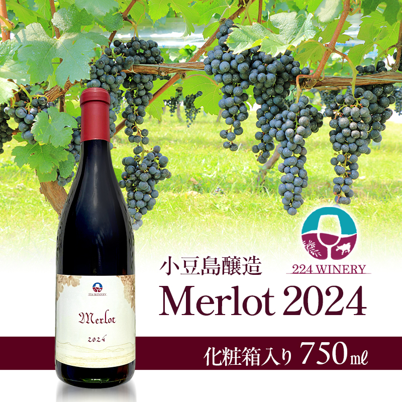 島醸造 メルロー 2024 720ml 小豆島醸造 赤ワイン 日本ワイン 化粧箱入り お酒 酒 ワイン 熟成 贈り物 ギフト 国産 香川 香川県 土庄 土庄町