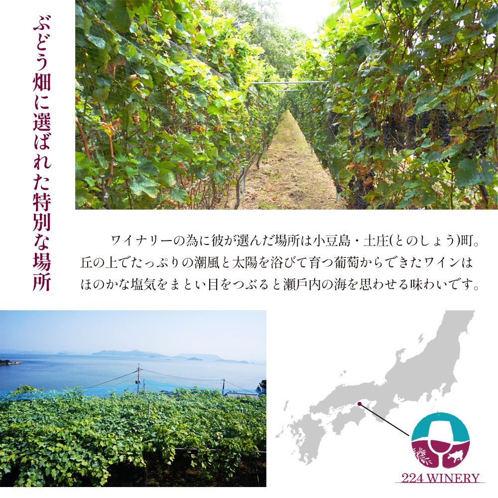 å³¶éžé ã·ã£ã«ãã 2024 750ml å°è±å³¶éžé çœã¯ã€ã³ æ¥æ¬ã¯ã€ã³ åç²§ç®±å
¥ã ãé
é
ã¯ã€ã³ çæ èŽãç© ã®ãã åœç£ éŠå· éŠå·ç ååº ååºçº