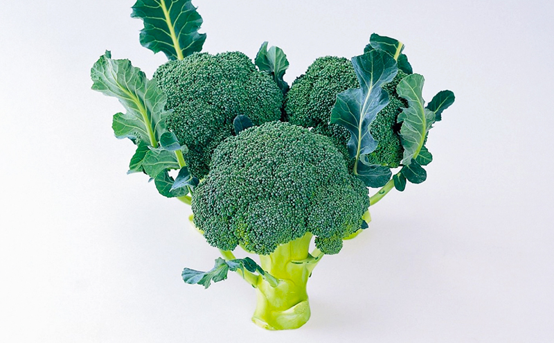 ブロッコリー　約２.5kg