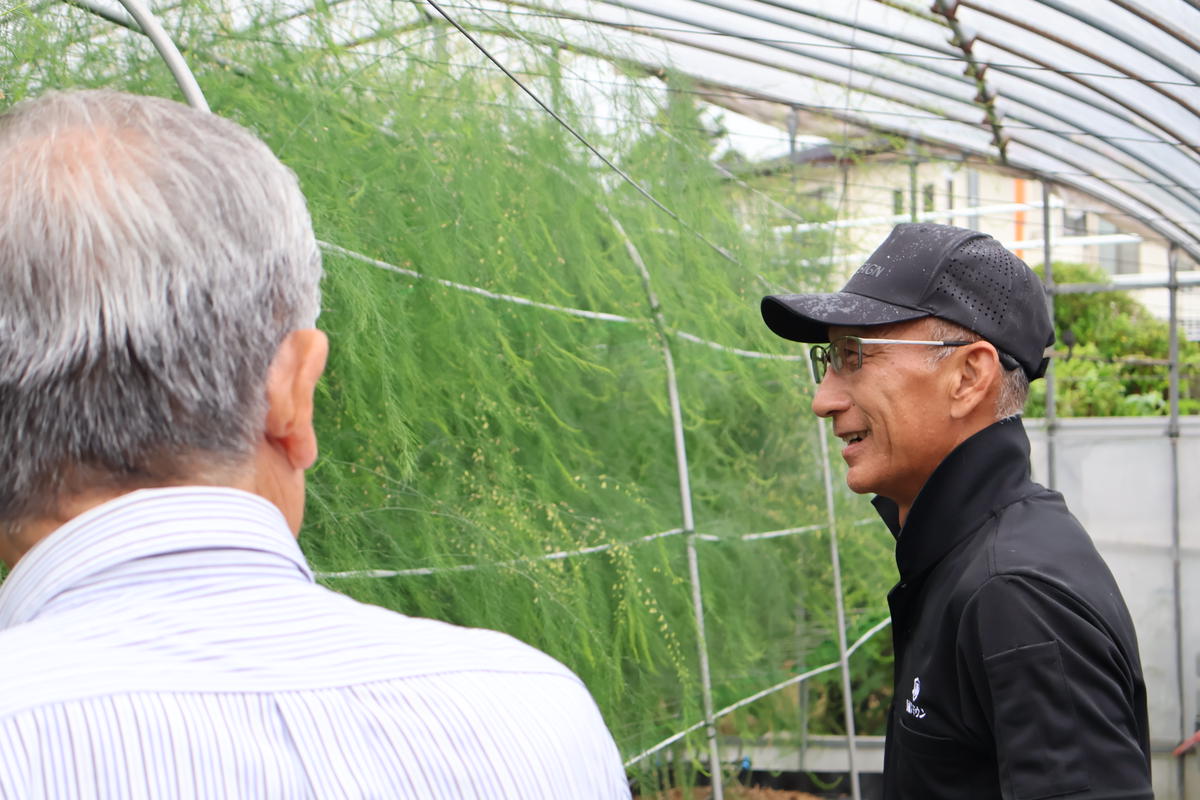 （訳アリ）小豆島産アスパラガス「さぬきのめざめ」M、L、2L混合1kg