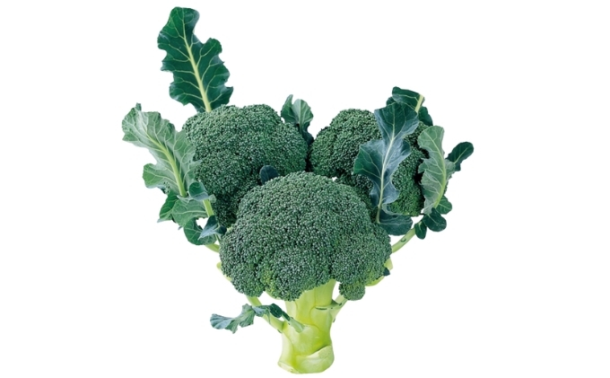 險ウ縺ゅj繝悶Ο繝繧ウ繝ェ繝シ縲邏4.5kgシ医し繧、繧コ縺翫∪縺九○シ