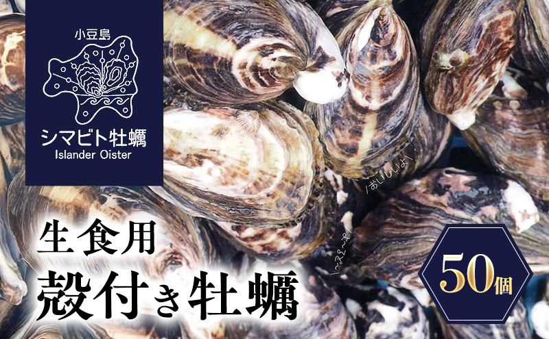【 小豆島 】小豆島産 シマビト牡蠣 生食用殻付き牡蠣 50個 牡蠣 カキ 生牡蠣 生食用 殻付き シマビト 香川県