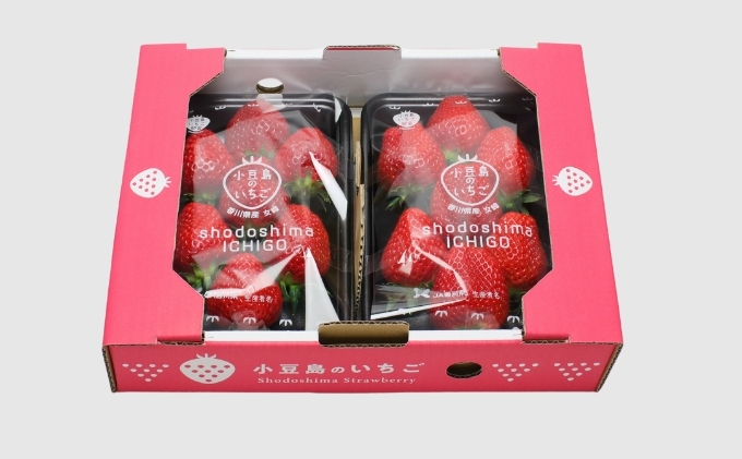 【 小豆島 】【3月からの発送】小豆島のいちご（女峰）DXパック (250g×2パック入り) 果物類 苺 イチゴ 