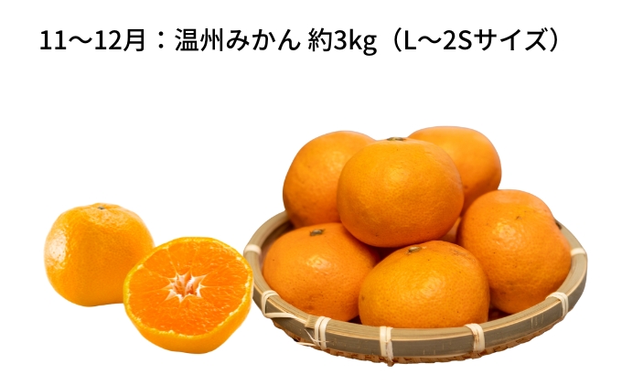 【 小豆島 】【4回お届け】土庄町 季節の果物 定期便 4回