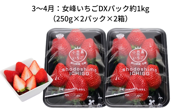 【 小豆島 】【6回お届け】土庄町 旬の果実 定期便 6回