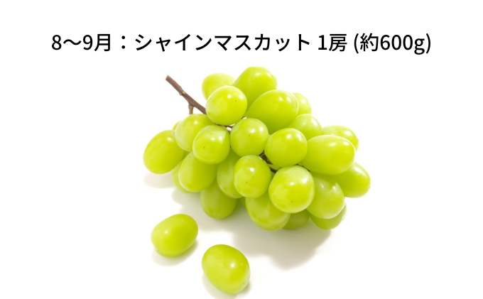 【 小豆島 】【6回お届け】土庄町 旬の果実 定期便 6回