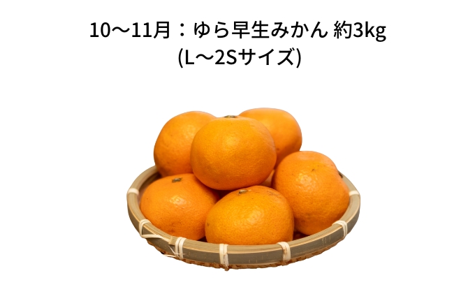 【 小豆島 】【6回お届け】土庄町 旬の果実 定期便 6回