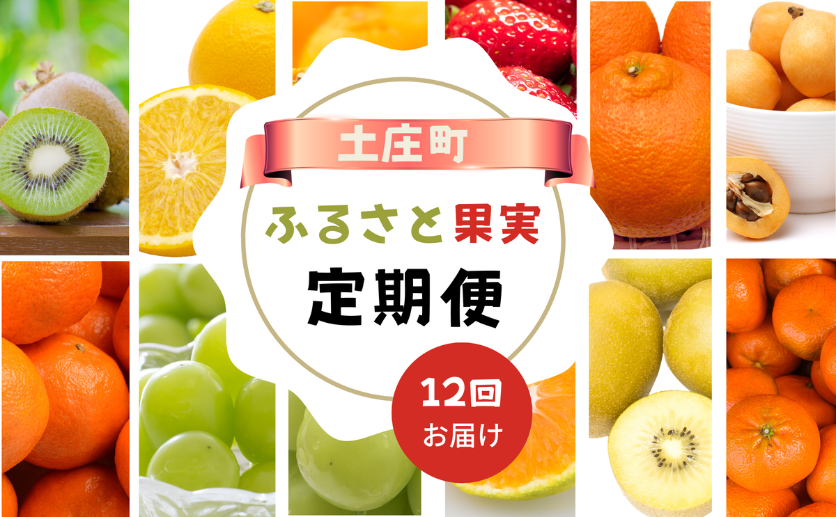 【 小豆島 】【12回お届け】土庄町 ふるさと果実 定期便 12回