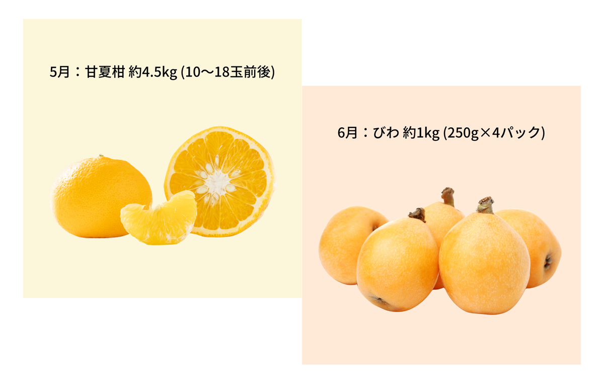 【 小豆島 】【12回お届け】土庄町 ふるさと果実 定期便 12回