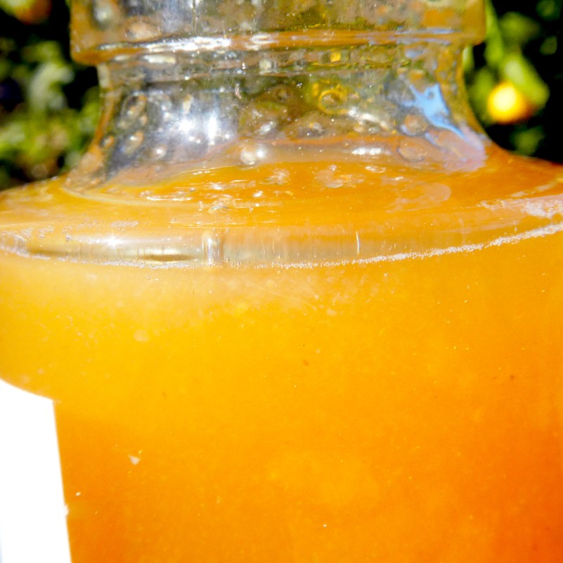 雎雁ウカ繝ャ繝「繝ウシ逕溷ァ懊す繝ュ繝繝 100mlテ3譛ャ 譫懃黄鬘 譟第ゥ倬。 讙ク讙ャ 繧キ繝ュ繝繝