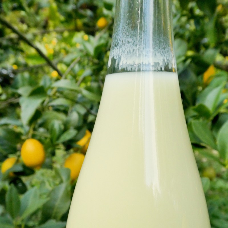 è±å³¶ã¬ã¢ã³ææ± 720ml æç©é¡ ææ©é¡ æªžæª¬