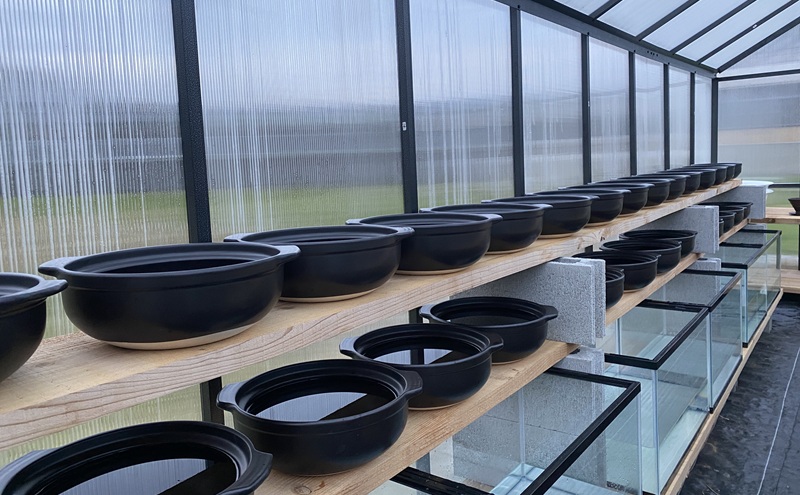 【小豆島】小豆島製塩所ENSOUが手がける完全天日塩 満月・新月セット(各40g) 塩 天日塩 完全天日塩 調味料 国産
