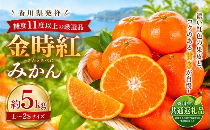 金時紅みかん  約5kg フルーツ みかん 果物 香川県 土庄町
