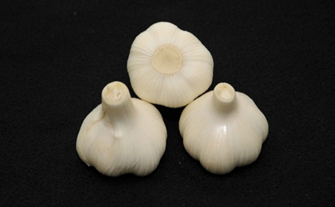 縲 蟆剰ア蟲カ 縲大ウカ閧イ縺。シ∫函縺ォ繧薙↓縺擾シ域眠迚ゥシ臥エシ談g 驥手除 譬ケ闖