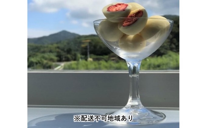 フリーズドライいちごホワイトチョコレート（3kg）【配送不可：北海道