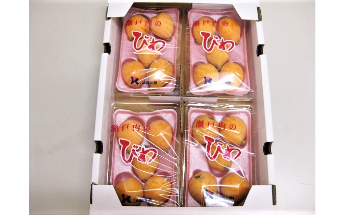 「島育ち！」初夏の味覚「びわ」　約1kg 果物類 フルーツ 枇杷 