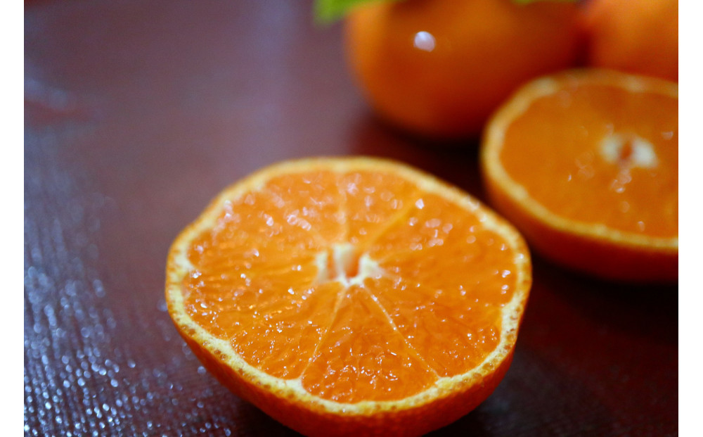 小原紅早生みかん(露地) 1.2kg