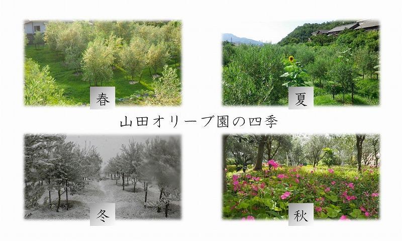 小豆島産オーガニックオリーブ石鹸 80g　食用の小豆島産有機EXVオリーブオイルで作った石鹸