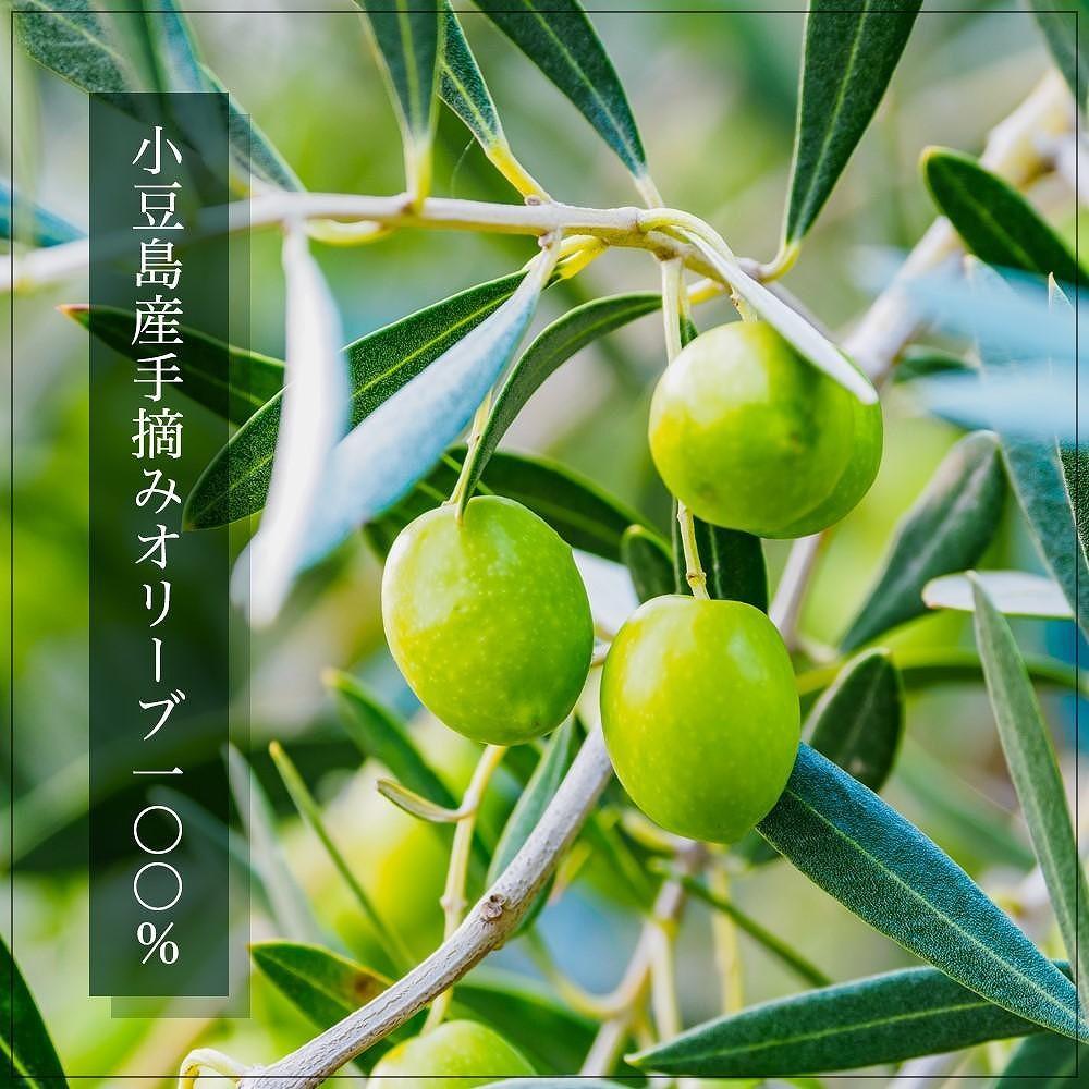 【ギフト用】小豆島産100％エキストラバージン(EXV) オリーブオイル(単品) 100ml×2本