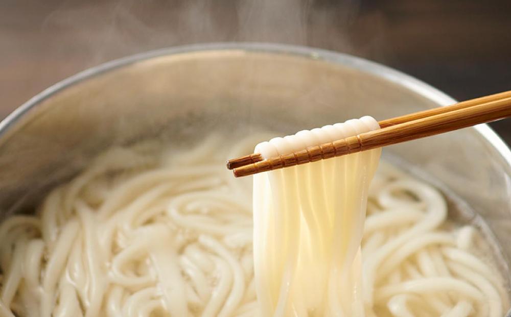 【ギフト用】手延べ半生こびきうどん 10袋入り（贈答用・熨斗つき）