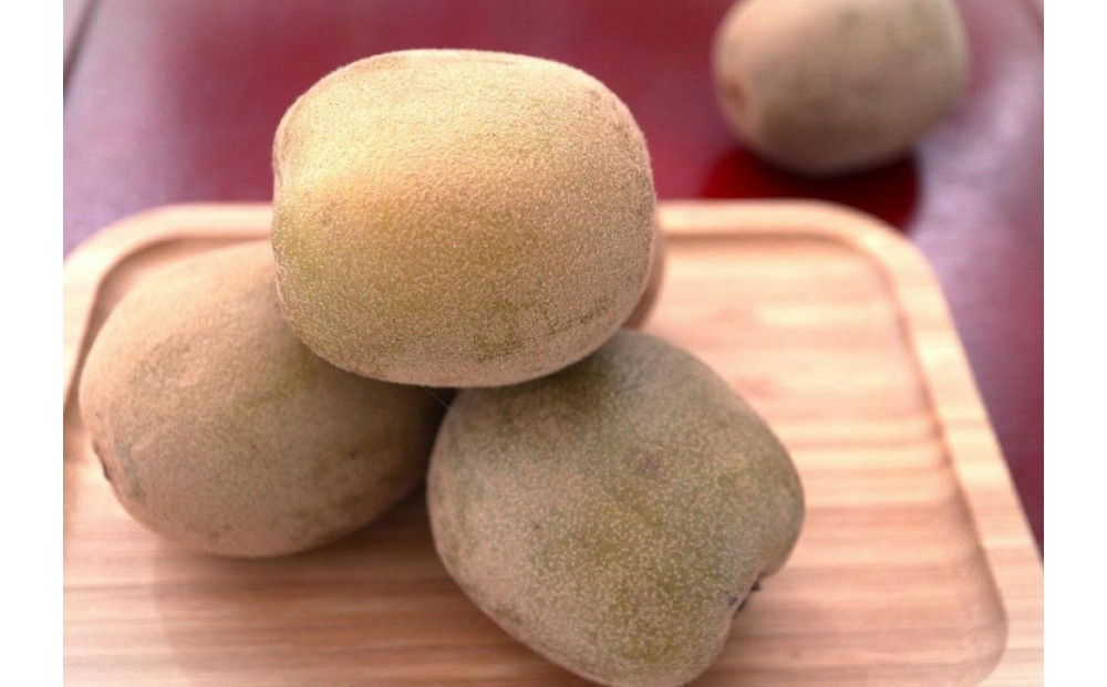 さぬきゴールド キウイフルーツ 1.3kg