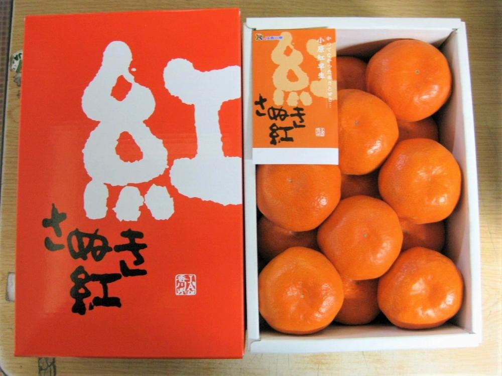 ããã¬ãè®ãã«ãŒããå°åçŽ
æ©çããŠã¹ã¿ãã åç²§ç®±å
¥ã çŽ1.2kg (10ïœ18çå
¥ã)