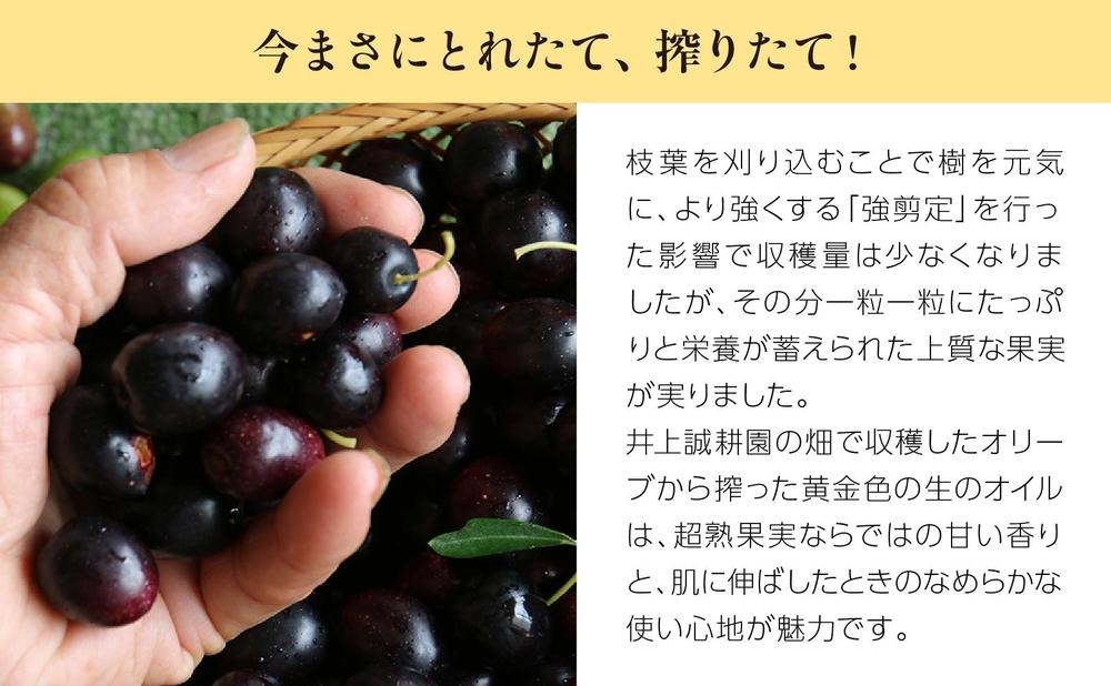【井上誠耕園】～2025年初搾り～ 井上誠耕園産エッセンシャルオリーブオイル 30ml【化粧用】
