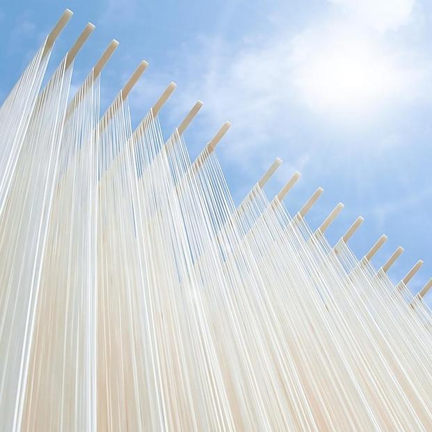 小豆島手延素麺 オリーブ素麺 単品8袋 1袋250g（50g×5束） 