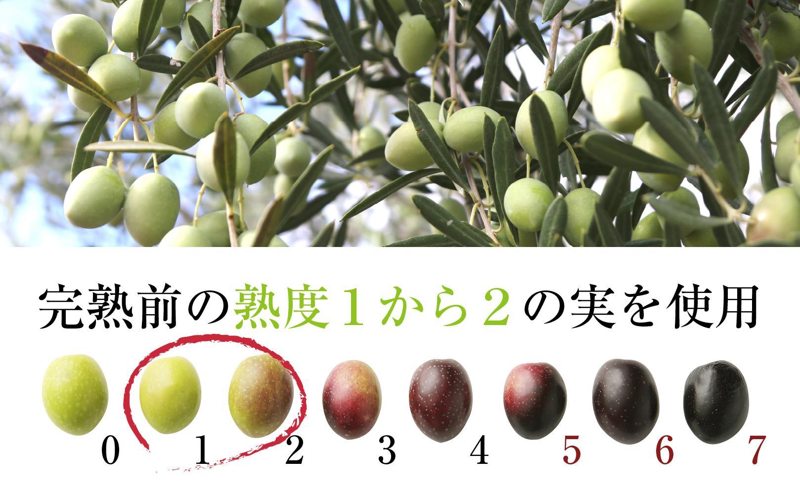 【井上誠耕園】～2024年搾りたて～ エキストラヴァージン緑果オリーブオイル (450g×5本)