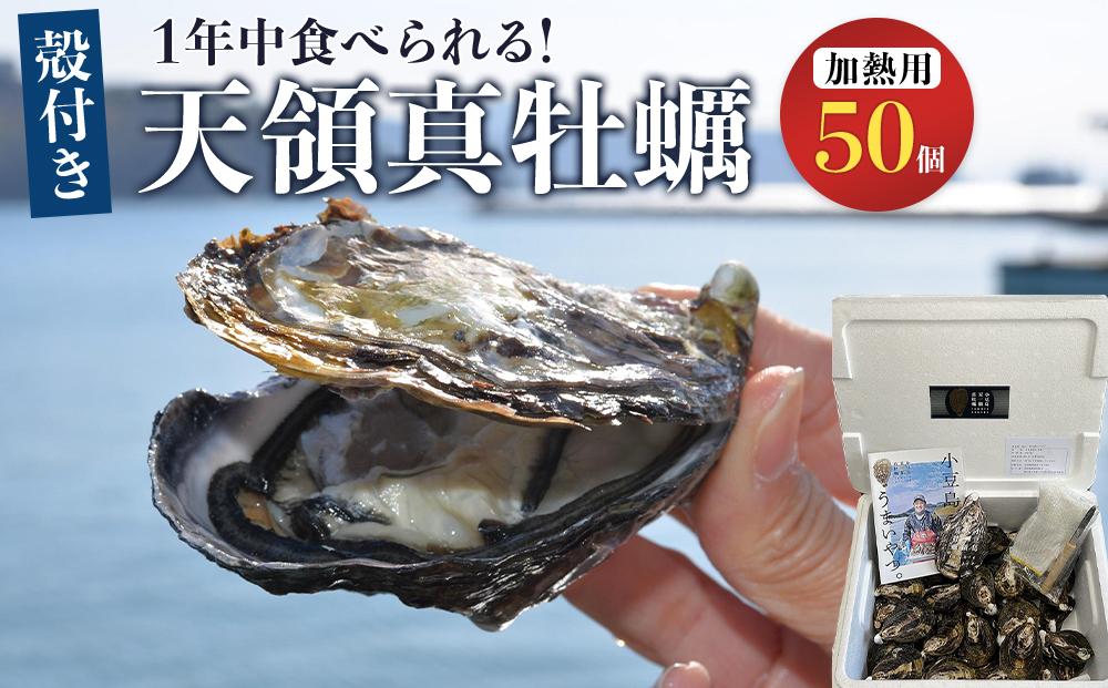 小豆島 天領真牡蠣 (殻付き加熱用) 50個セット