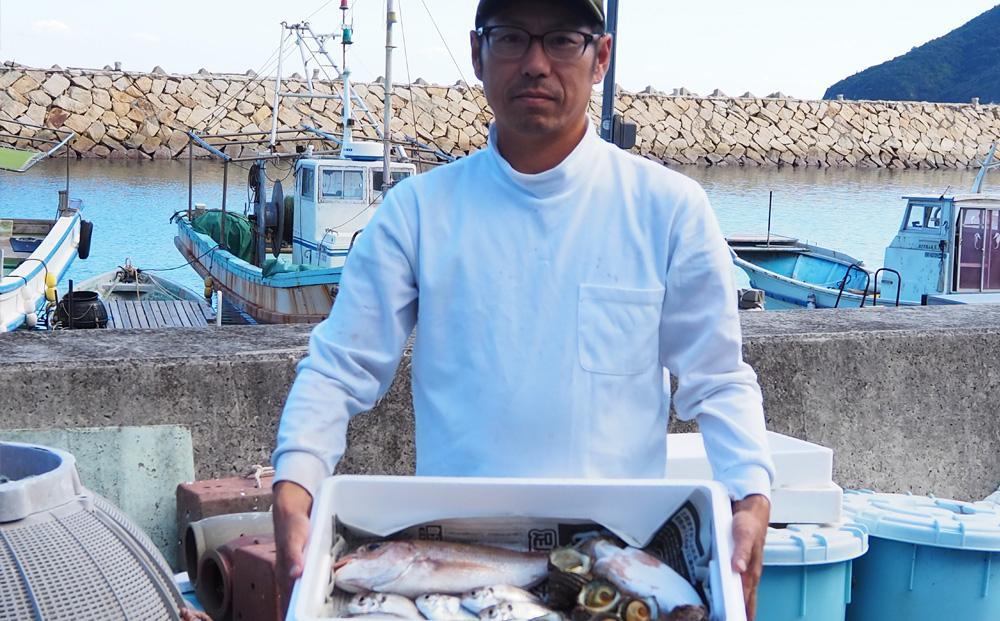 ＜定期便全4回＞3か月に1回お届け！1年続けて鮮魚を楽しめます！旬の地魚詰め合わせ 2kg以上定期便