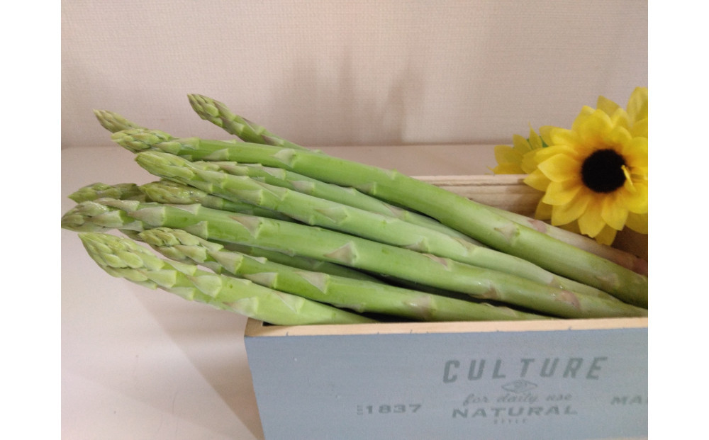 アスパラガス さぬきのめざめ 春芽 約1kg
