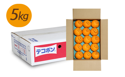 不知火 (しらぬひ) 約5kg