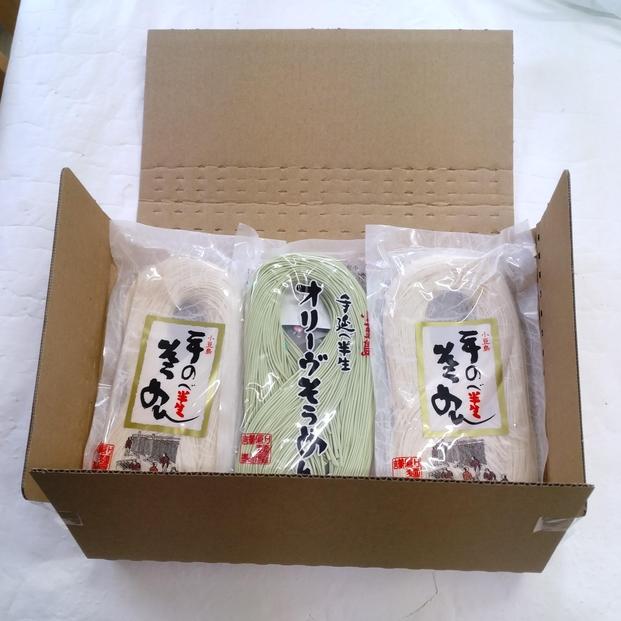 小豆島半生そうめん180g×2袋・半生オリーヴそうめん180g×１袋