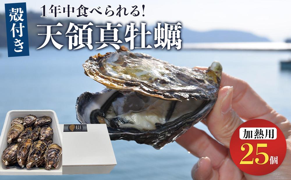 小豆島 天領真牡蠣 (殻付き加熱用) 25個セット