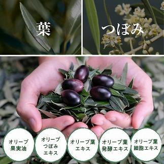 【井上誠耕園】オリーブ化粧水・小豆島産エキストラヴァージンオリーブオイルセット