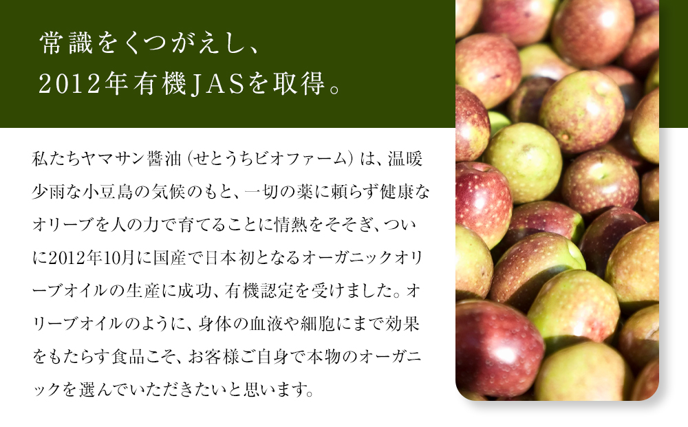 ＜年6回定期便・2か月に1度お届け＞ 小豆島産エキストラバージンオリーブオイル　ミッション108ｇ