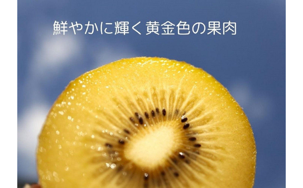 さぬきゴールド キウイフルーツ 900g