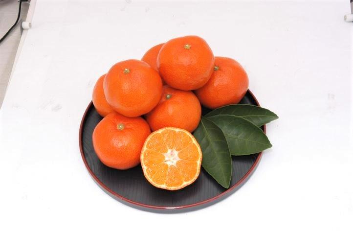 ããã¬ãè®ãã«ãŒããå°åçŽ
æ©çããŠã¹ã¿ãã åç²§ç®±å
¥ã çŽ1.2kg (10ïœ18çå
¥ã)