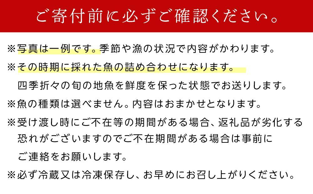 ＜定期便全4回＞3か月に1回お届け！1年続けて鮮魚を楽しめます！旬の地魚詰め合わせ 2kg以上定期便