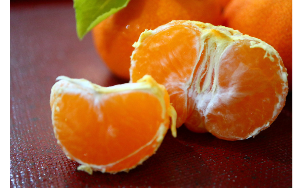 小原紅早生みかん(露地) 1.2kg