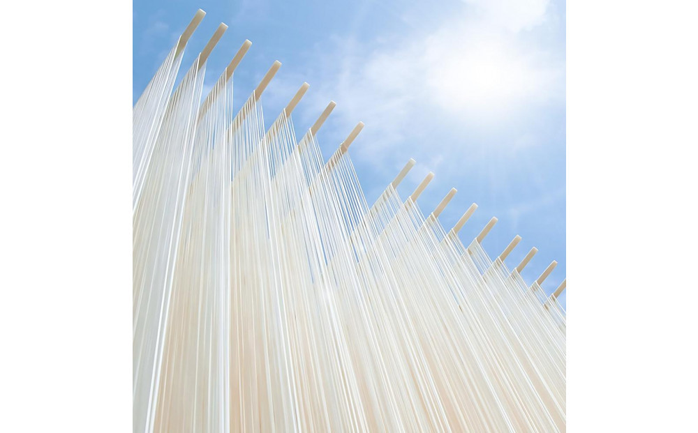 小豆島手延素麺 島の光 1袋250g 2種9袋セット 紙箱【特級品黒帯×6オリーブ素麺×3】