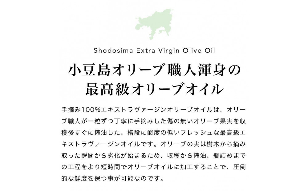 【定期便全12回】小豆島産100％「純」エキストラバージン（EXV）オリーブオイル120ml（単品）1本