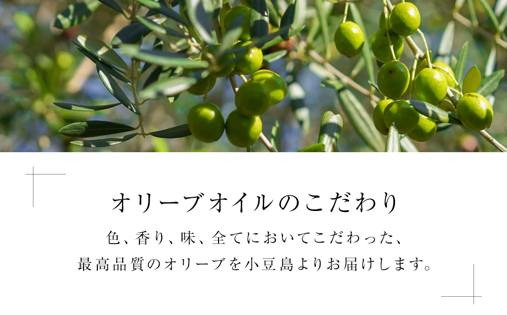 ＜年6回定期便・2か月に1度お届け＞ 小豆島産エキストラバージンオリーブオイル　ミッション108ｇ