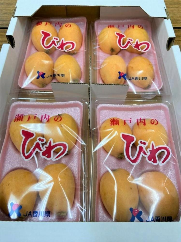 ããã¬ãè®ãã«ãŒããã³ã ãªã€ããã çŽ1kg(çŽ250gÃ4)Ã2ç®±