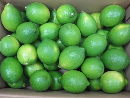 蟆剰ア蟲カ繧ー繝ェ繝シ繝ウ繝ャ繝「繝ウ 2kg