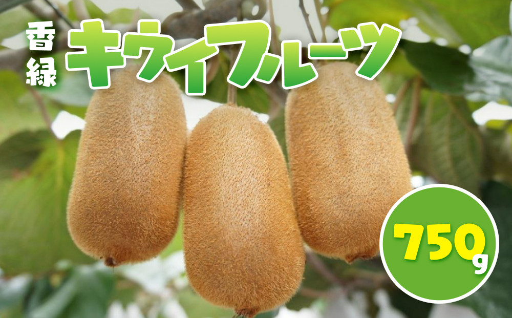 香緑 キウイフルーツ 750g