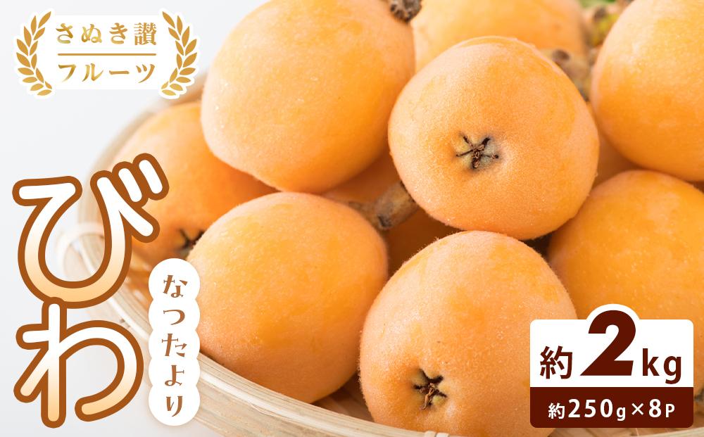 【さぬき讃フルーツ】びわ なつたより 約1kg(約250g×4)×2箱