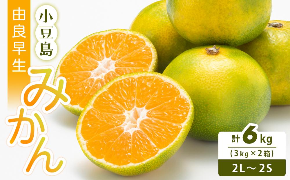 å°è±å³¶ ç±è¯æ©çã¿ãã 3kgÃ2ç®±